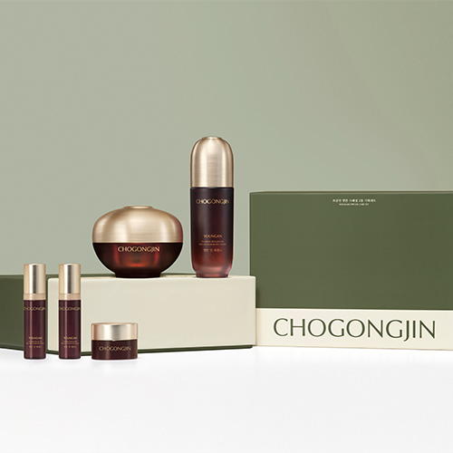 CHOGONGJIN Youngan Special 2 types Special Set